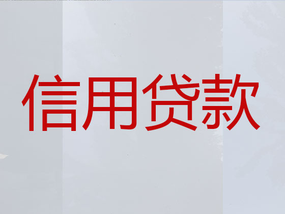 定州本地贷款公司